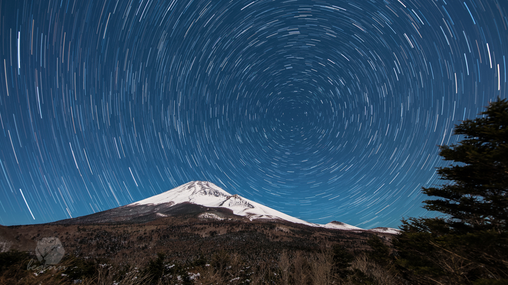 Polaris