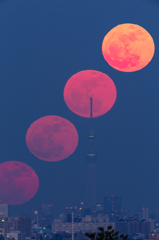 紅い満月