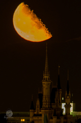シンデレラ城と下弦の月