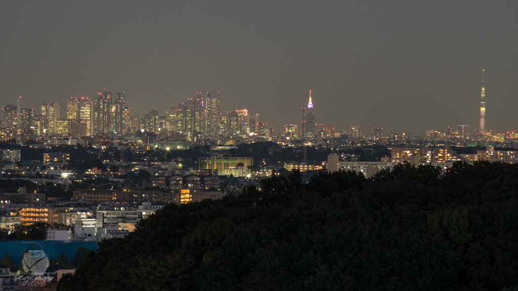 新宿夜景