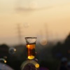 グラスの中の夕陽