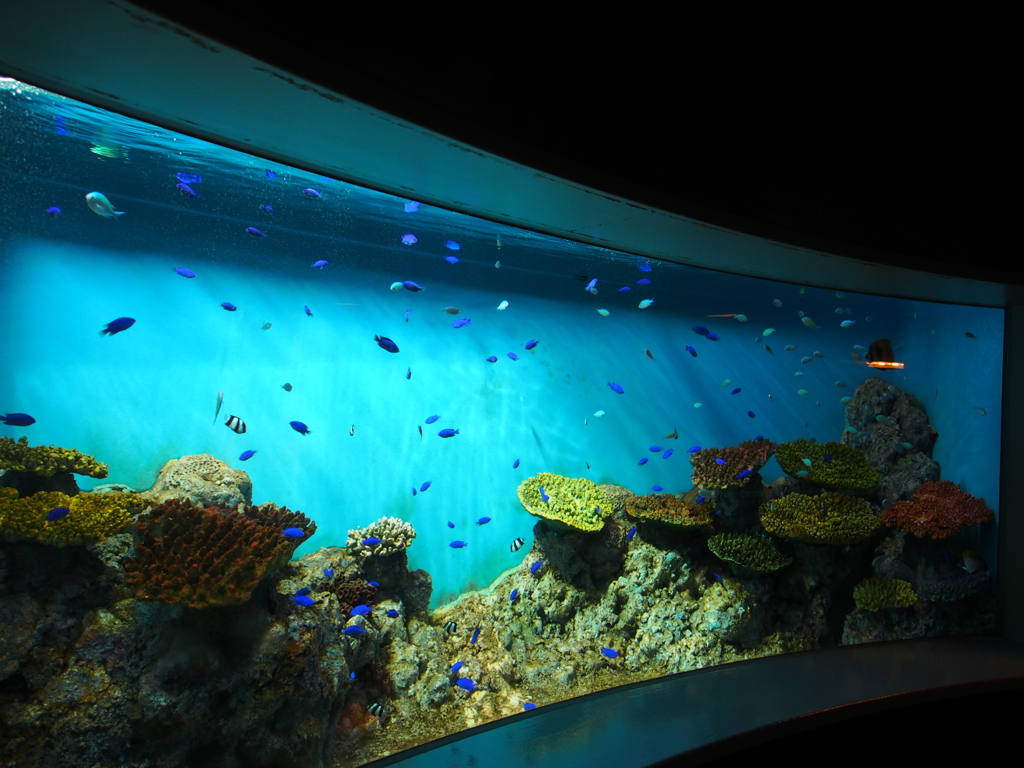 マリンパークス