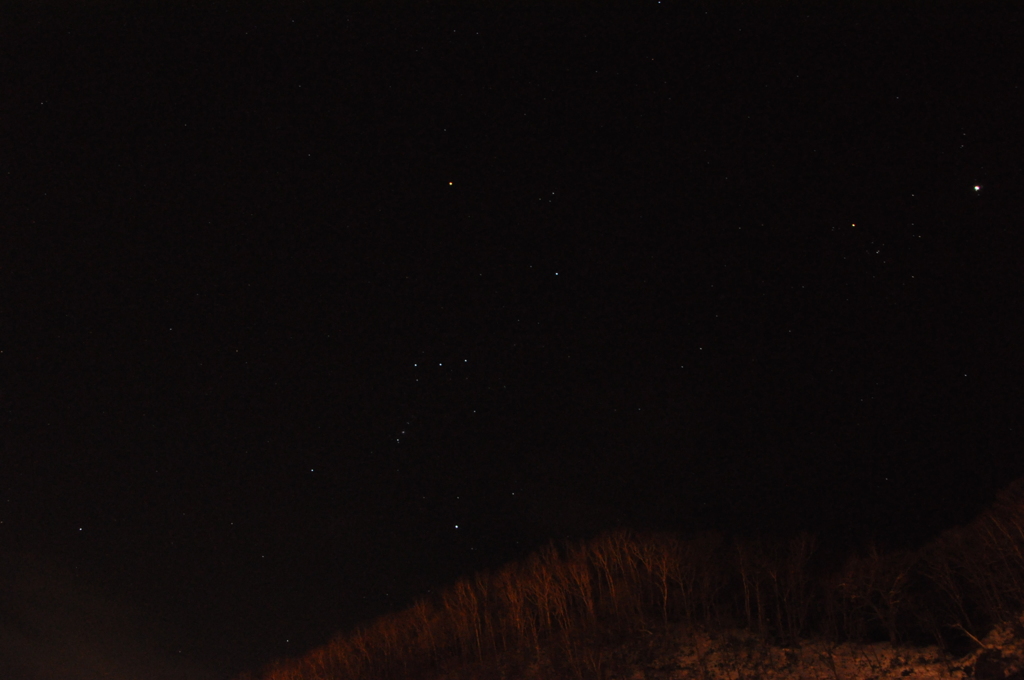 冬の星空