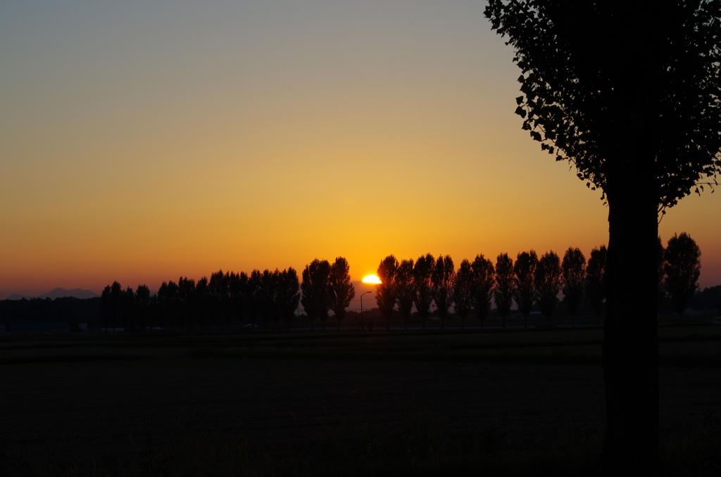 ざわの夕陽