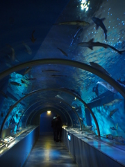 マリンパークス