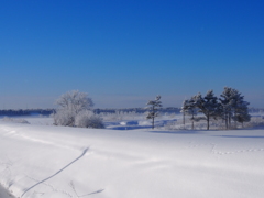 通勤風景