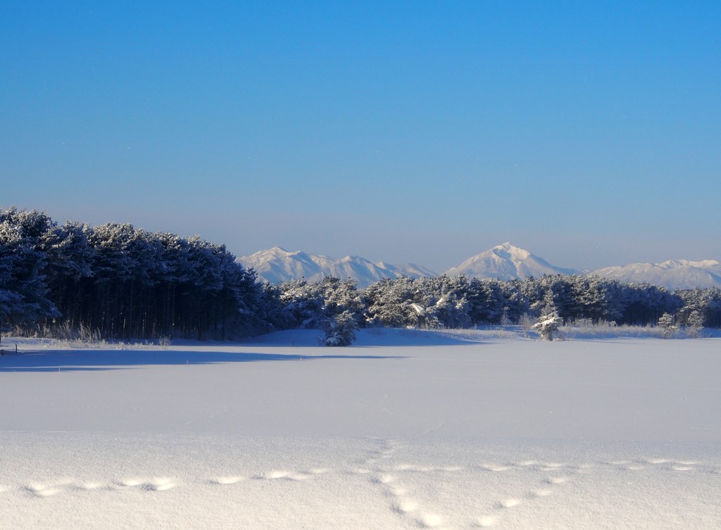 通勤風景