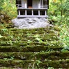 苔の階段