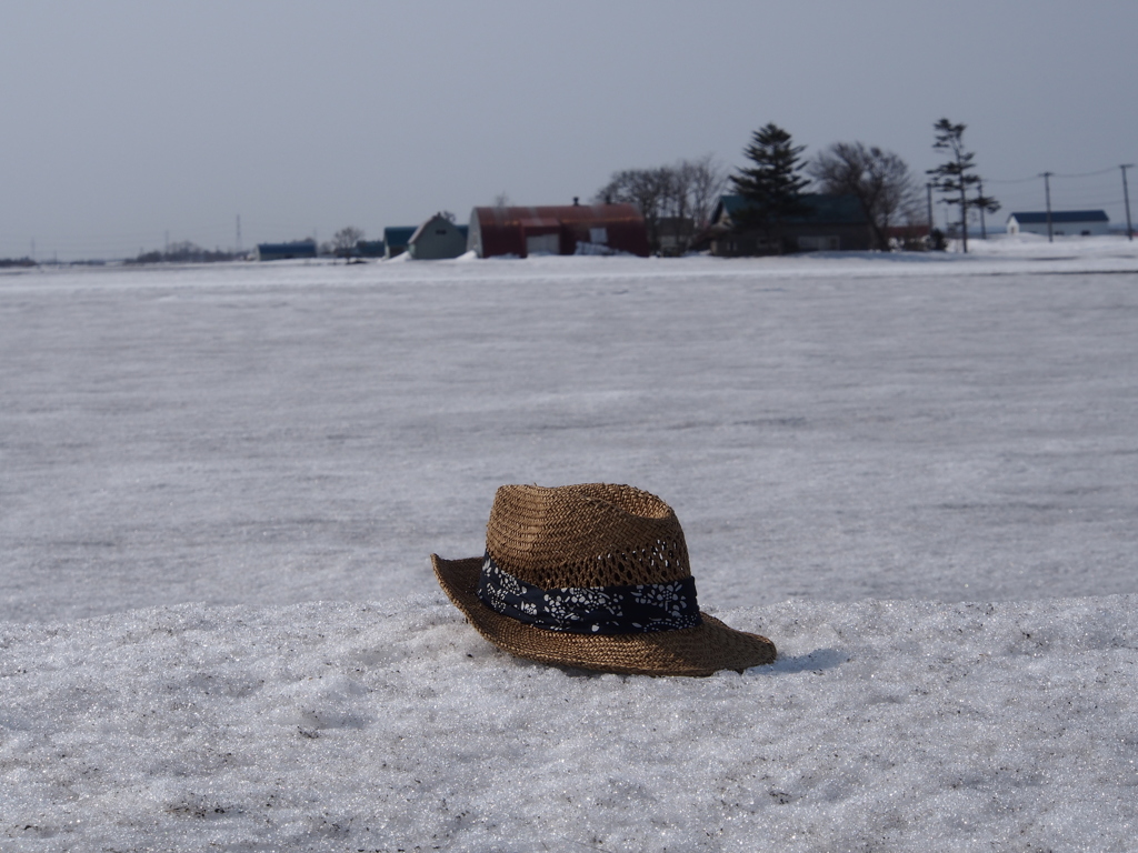 去年の夏の忘れものⅡ