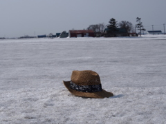去年の夏の忘れものⅡ