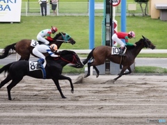 Nature「川崎競馬」