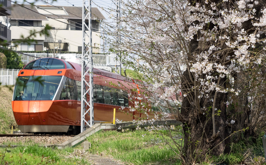 Nature「小田急線」