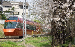 Nature「小田急線」