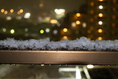 Nature「横浜に雪降る」