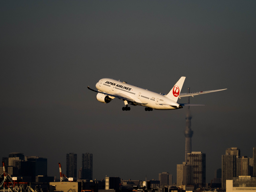 Nature「Airport」