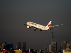 Nature「Airport」
