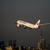 Nature「Airport」