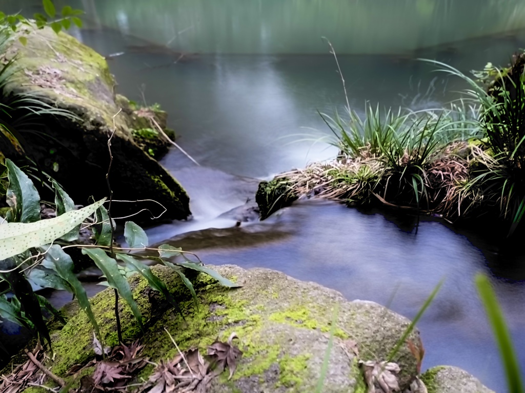 Nature