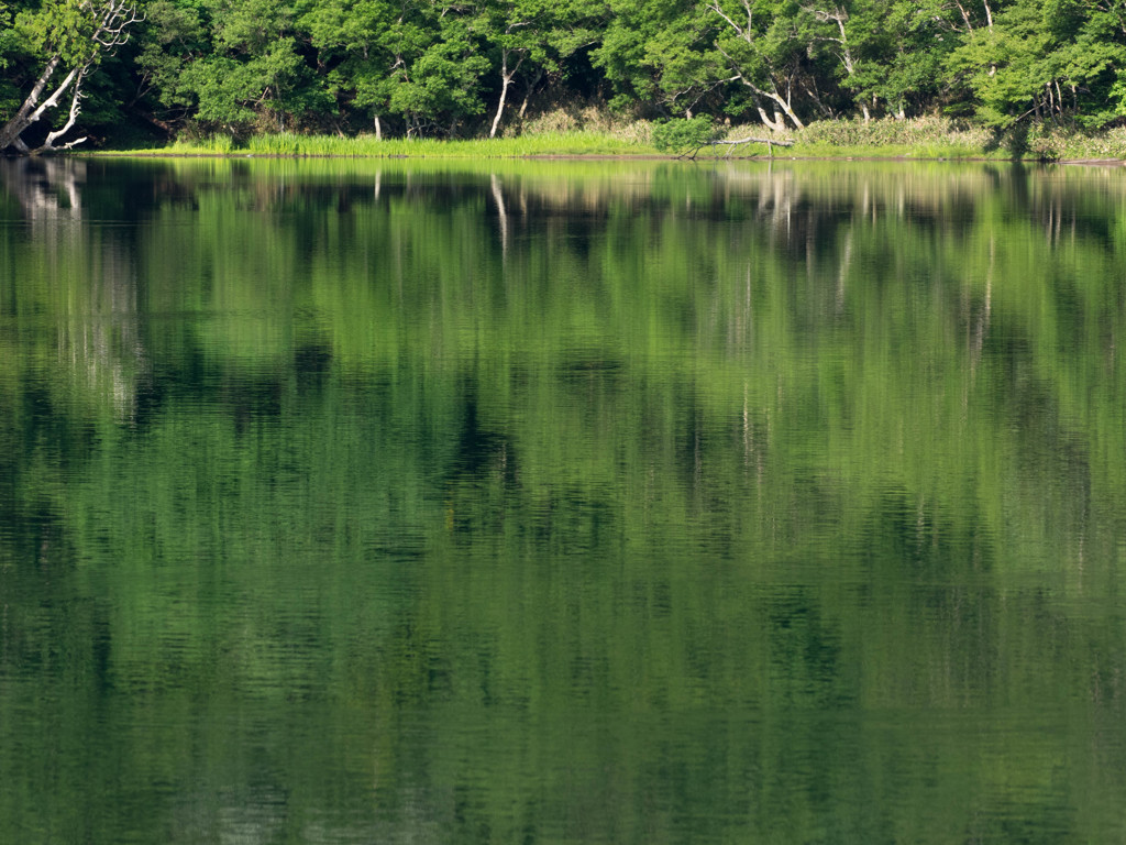 Nature「奥日光」
