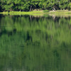 Nature「奥日光」
