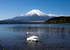 Nature「日本一の雪化粧」