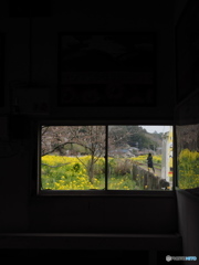 Nature「小湊鉄道」3