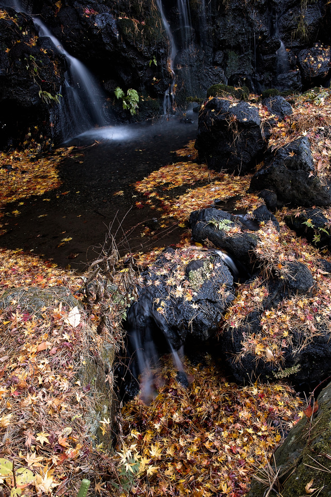Nature
