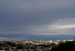 Nature「終わり知らない自粛生活」