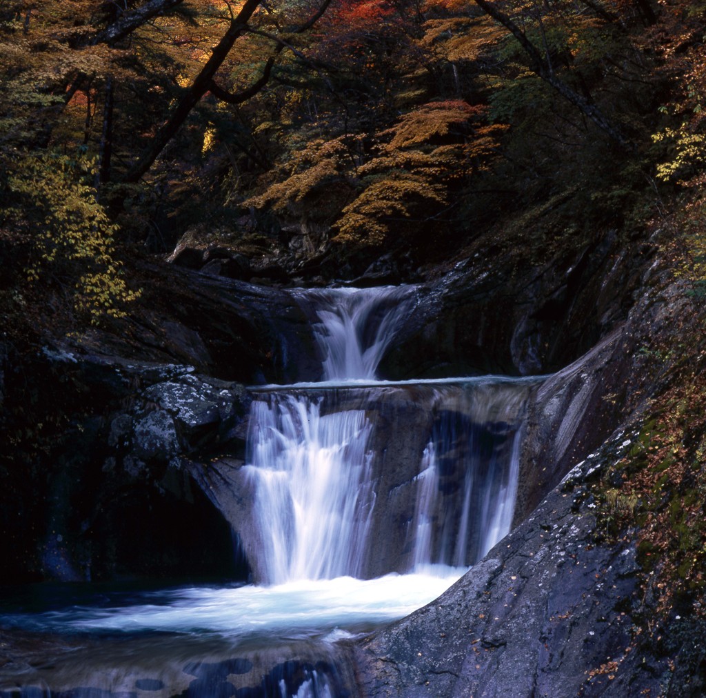 Nature