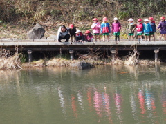 Nature『四季の森散歩」