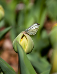 Nature「横浜スタジアム」