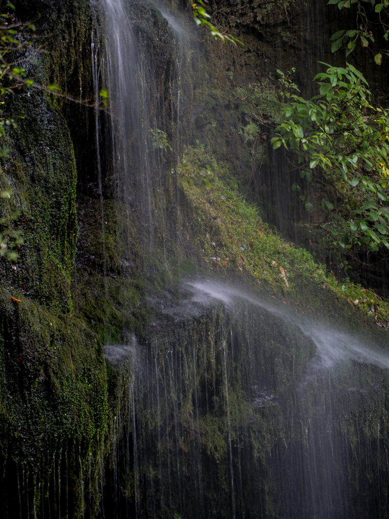 Nature