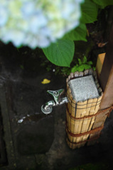 Nature「明月院」