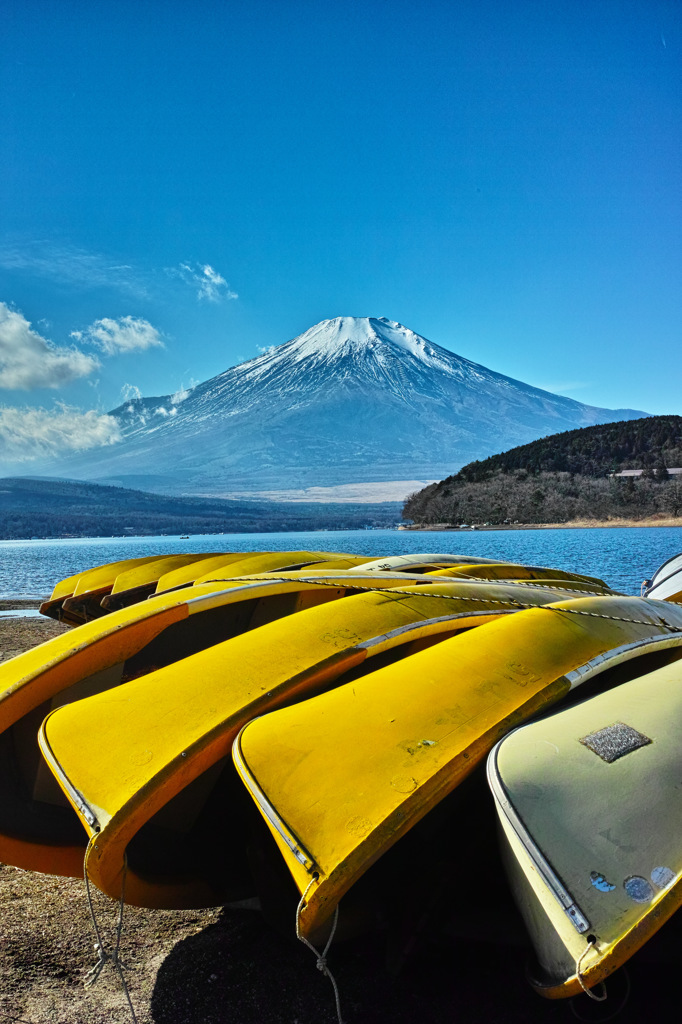 Nature「I love fuji」