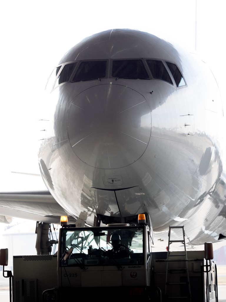 Nature「Airport」