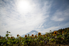 Neture「緊急事態宣言解除:花の都公園」