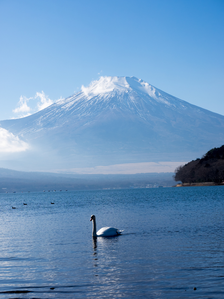 Nature「暖冬？」