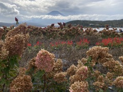 Nature「雨雲近づく」