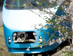 Nature「列車を背景に？」