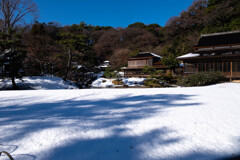 Nature「前回の横浜に雪が降る続き」