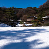 Nature「前回の横浜に雪が降る続き」