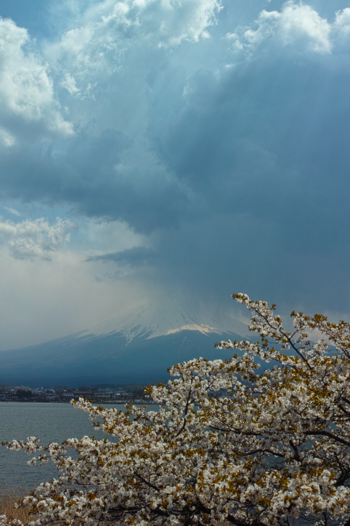 　Nature「湖畔」