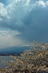 　Nature「湖畔」