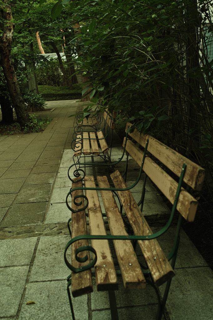 Nature「江戸東京たてもの園」