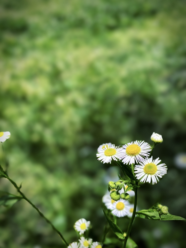  Nature[県立四季の森公園]