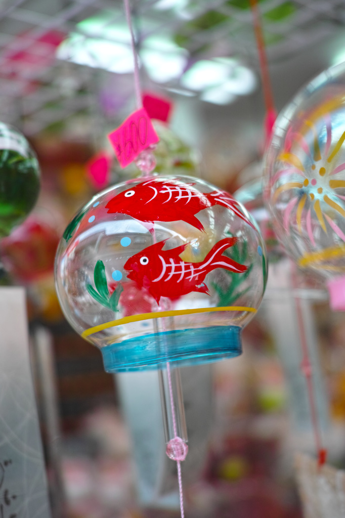 Nature「夏の風物詩」