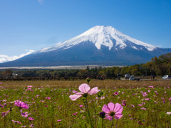 Nature「富士山雪化粧」