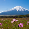 Nature「富士山雪化粧」