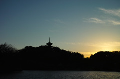 Nature「Autumn」