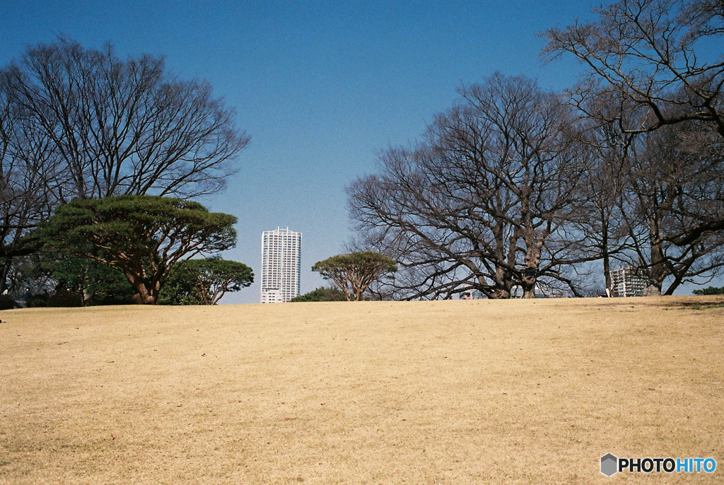 Nature「フィルム新宿御苑」